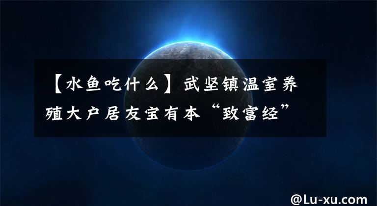 【水鱼吃什么】武坚镇温室养殖大户居友宝有本“致富经”——“养甲鱼,要先养水!”