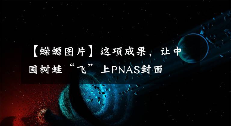 【蝾螈图片】这项成果,让中国树蛙“飞”上PNAS封面