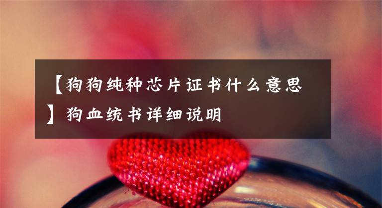 【狗狗纯种芯片证书什么意思】狗血统书详细说明