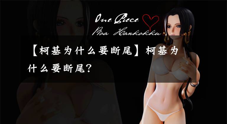 【柯基为什么要断尾】柯基为什么要断尾？