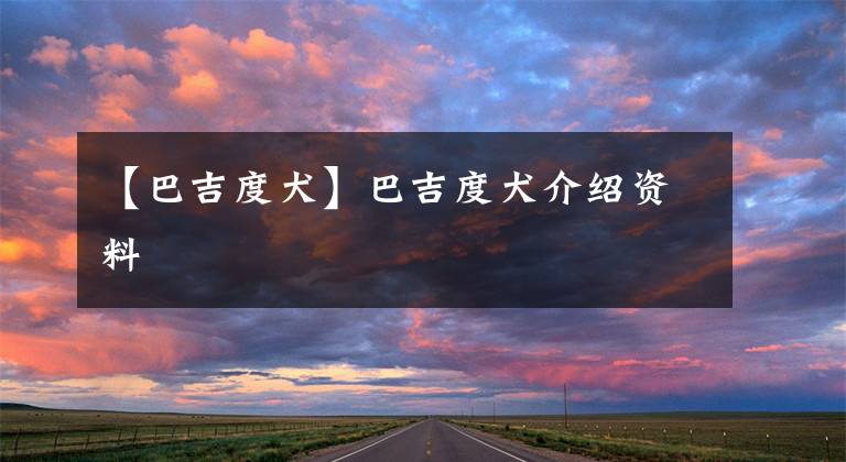 【巴吉度犬】巴吉度犬介绍资料