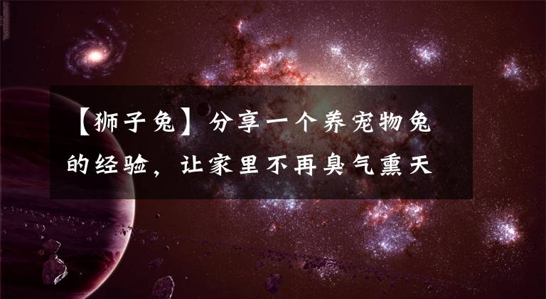 【狮子兔】分享一个养宠物兔的经验，让家里不再臭气熏天