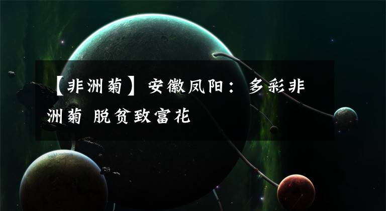 【非洲菊】安徽凤阳：多彩非洲菊 脱贫致富花