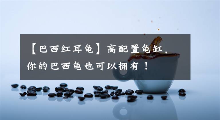 【巴西红耳龟】高配置龟缸,你的巴西龟也可以拥有!