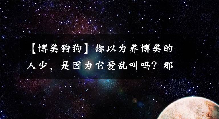 【博美狗狗】你以为养博美的人少，是因为它爱乱叫吗？那你就错了