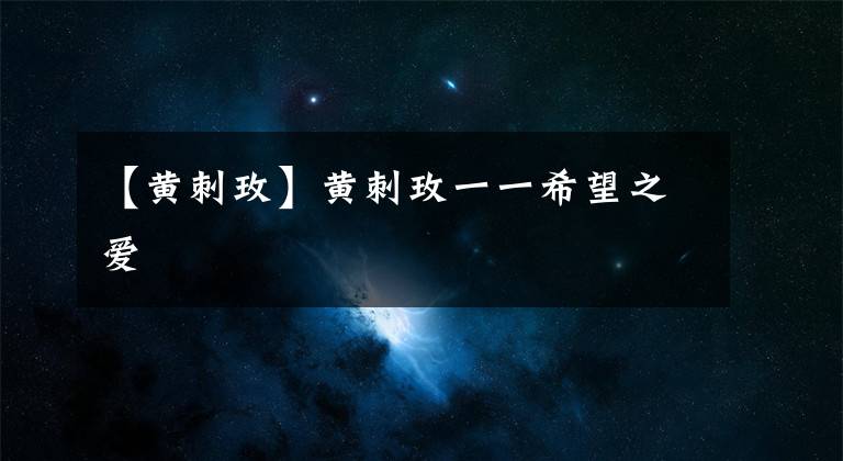 【黄刺玫】黄刺玫一一希望之爱