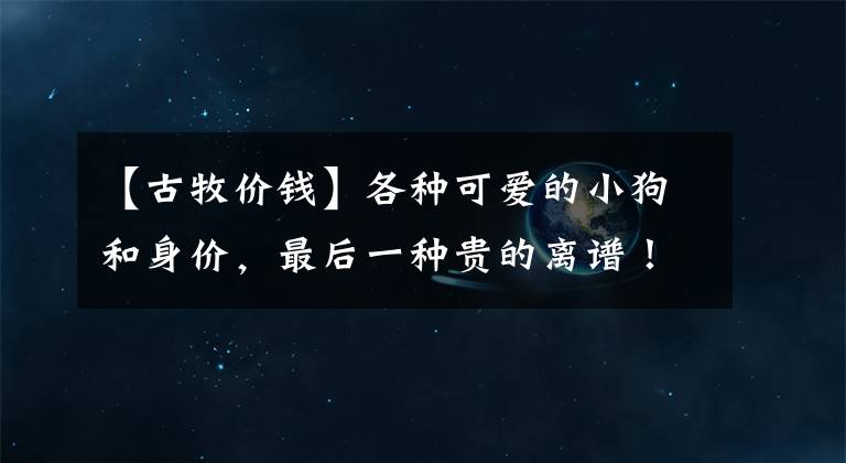 【古牧价钱】各种可爱的小狗和身价，最后一种贵的离谱！