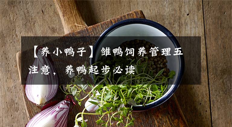 【养小鸭子】雏鸭饲养管理五注意，养鸭起步必读