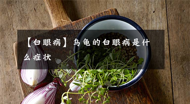 【白眼病】乌龟的白眼病是什么症状