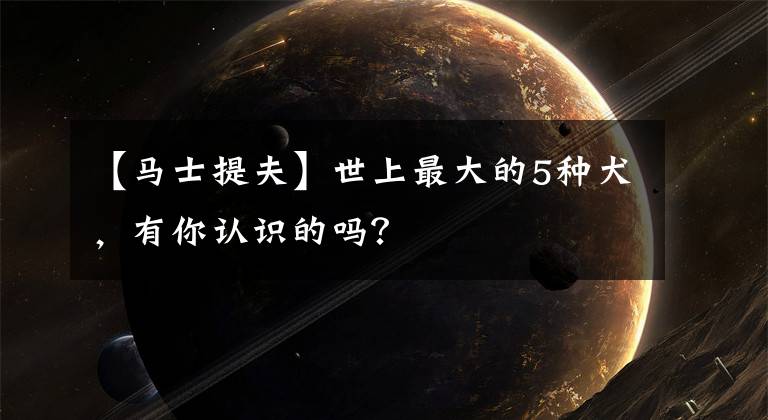 【马士提夫】世上最大的5种犬,有你认识的吗?