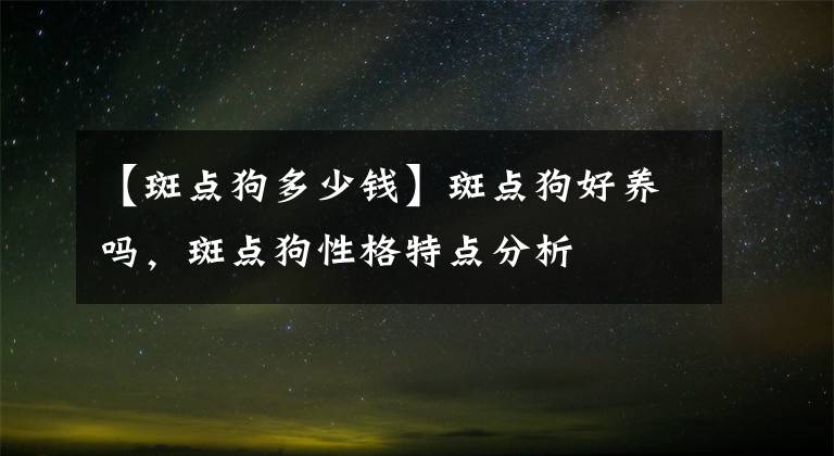 【斑点狗多少钱】斑点狗好养吗，斑点狗性格特点分析