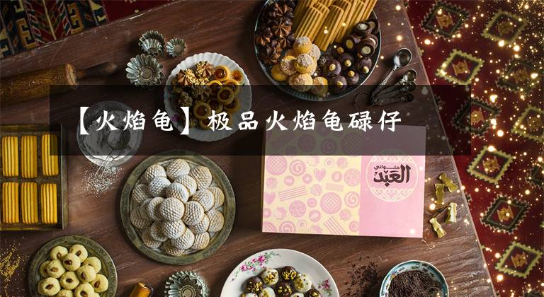 【火焰龟】极品火焰龟碌仔