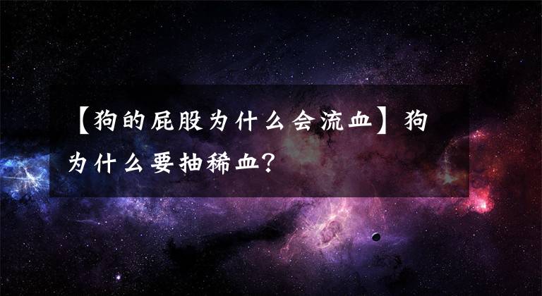 【狗的屁股为什么会流血】狗为什么要抽稀血？