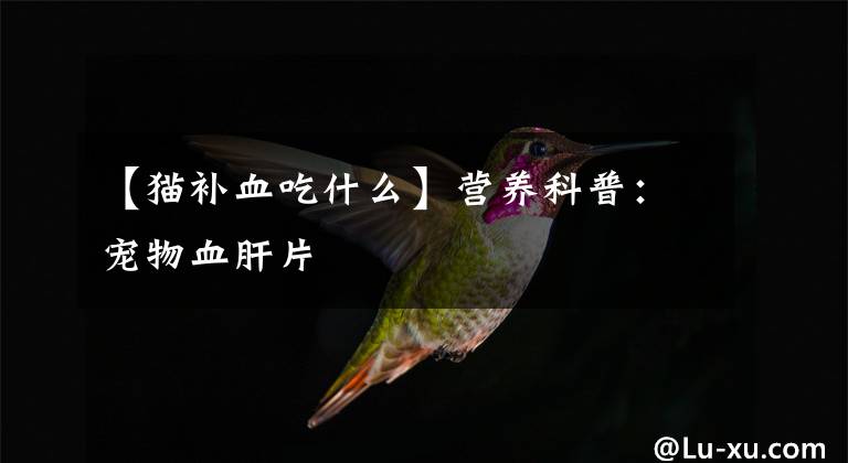 【猫补血吃什么】营养科普：宠物血肝片