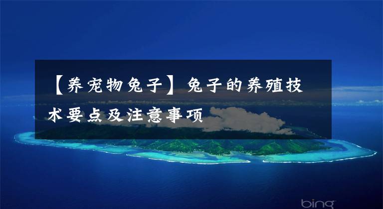 【养宠物兔子】兔子的养殖技术要点及注意事项