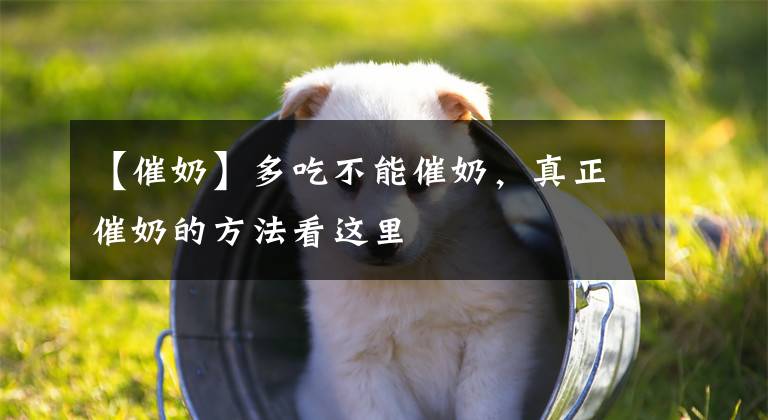 【催奶】多吃不能催奶，真正催奶的方法看这里