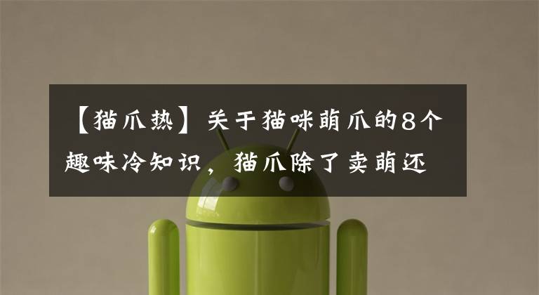 【猫爪热】关于猫咪萌爪的8个趣味冷知识，猫爪除了卖萌还大有用处