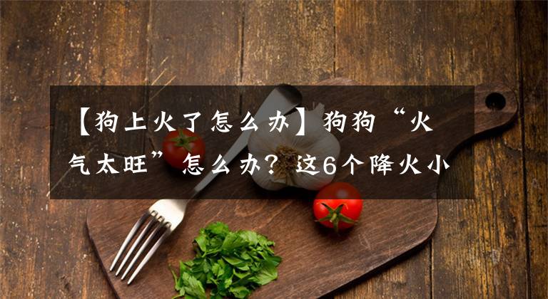 【狗上火了怎么办】狗狗“火气太旺”怎么办？这6个降火小妙招，可以帮到你