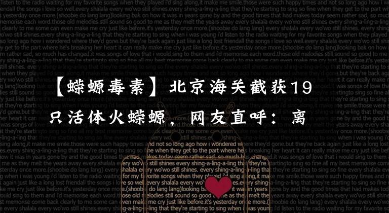 【蝾螈毒素】北京海关截获19只活体火蝾螈，网友直呼：离谱