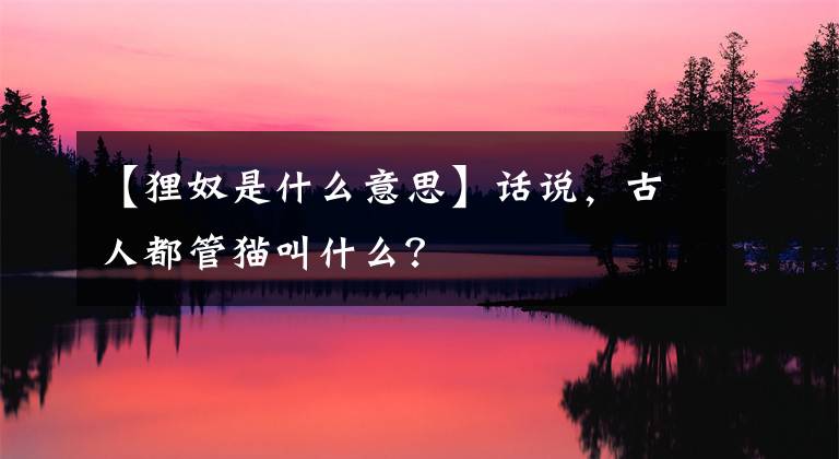 【狸奴是什么意思】话说，古人都管猫叫什么？