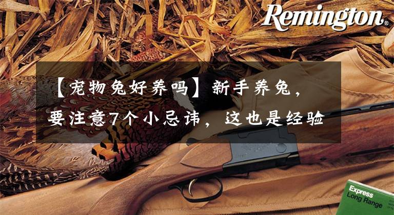 【宠物兔好养吗】新手养兔,要注意7个小忌讳,这也是经验老道的老农偷偷告诉我的