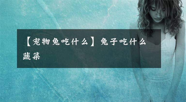 【宠物兔吃什么】兔子吃什么蔬菜