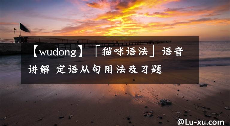 【wudong】「猫咪语法」语音讲解 定语从句用法及习题