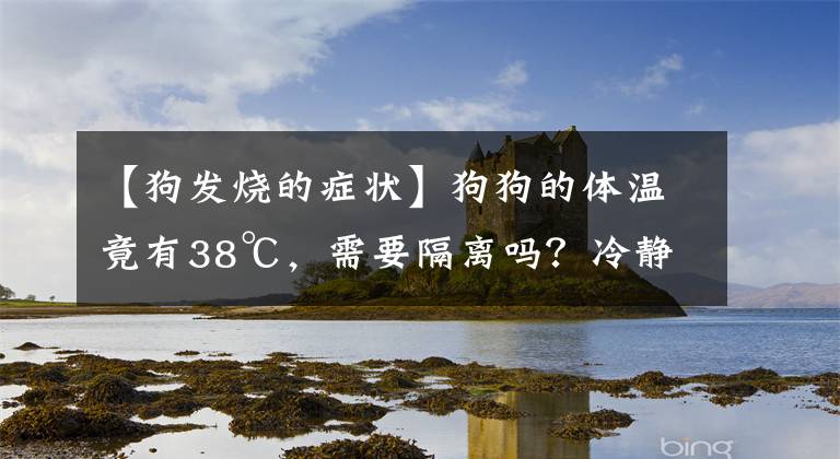【狗发烧的症状】狗狗的体温竟有38℃，需要隔离吗？冷静点，这是狗狗正常体温