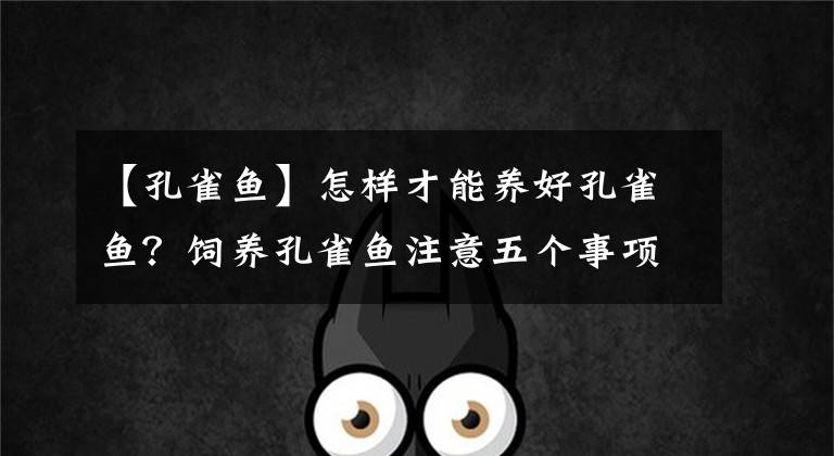 【孔雀鱼】怎样才能养好孔雀鱼?饲养孔雀鱼注意五个事项,养好孔雀并不难