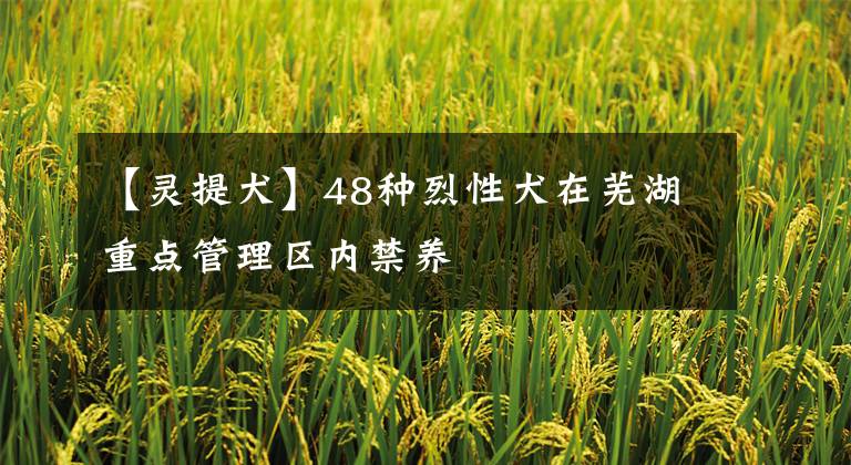 【灵提犬】48种烈性犬在芜湖重点管理区内禁养