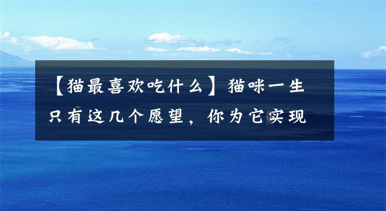 【猫最喜欢吃什么】猫咪一生只有这几个愿望,你为它实现了多少?