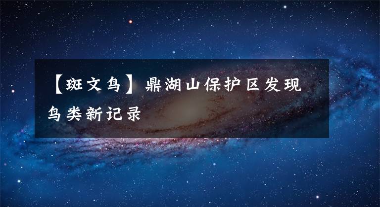 【斑文鸟】鼎湖山保护区发现鸟类新记录