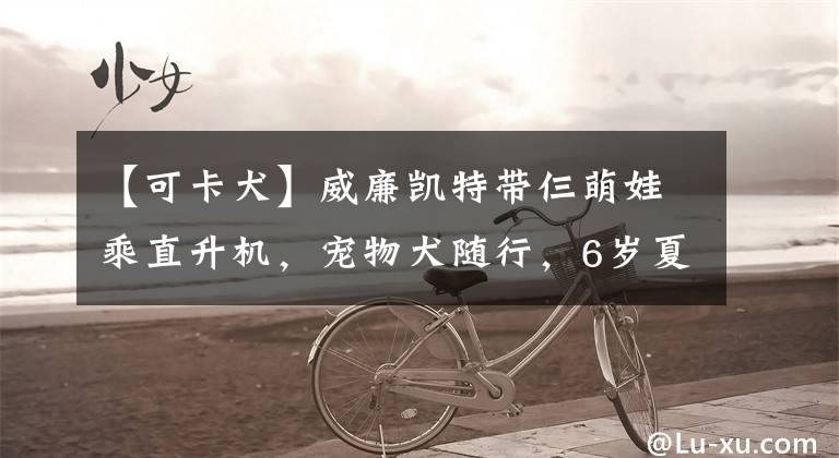 【可卡犬】威廉凯特带仨萌娃乘直升机,宠物犬随行,6岁夏洛特拎手包名媛范