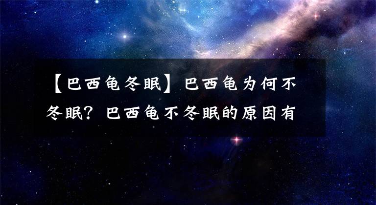 【巴西龟冬眠】巴西龟为何不冬眠?巴西龟不冬眠的原因有那些?