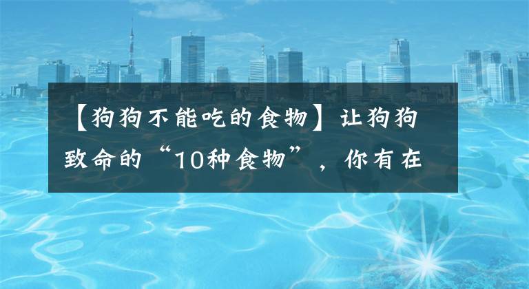 【狗狗不能吃的食物】让狗狗致命的“10种食物”，你有在喂吗？