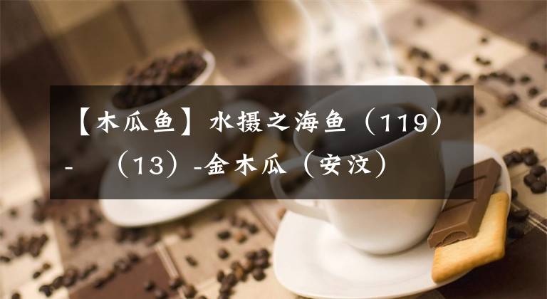 【木瓜鱼】水摄之海鱼（119）-鲀（13）-金木瓜（安汶）