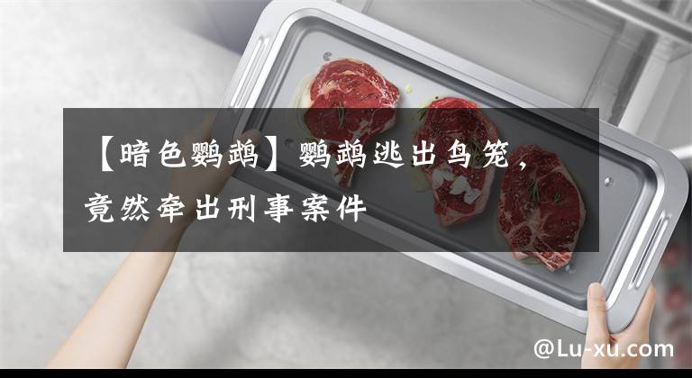 【暗色鹦鹉】鹦鹉逃出鸟笼,竟然牵出刑事案件