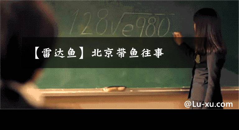 【雷达鱼】北京带鱼往事