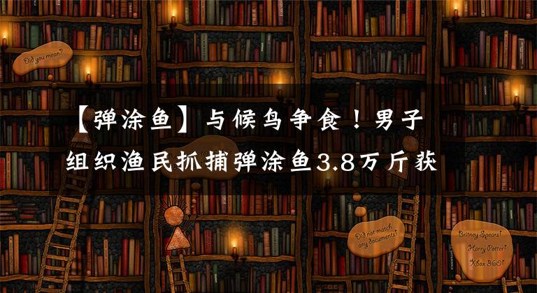 【弹涂鱼】与候鸟争食！男子组织渔民抓捕弹涂鱼3.8万斤获刑2年