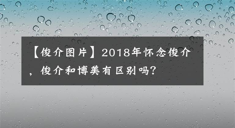 【俊介图片】2018年怀念俊介，俊介和博美有区别吗？