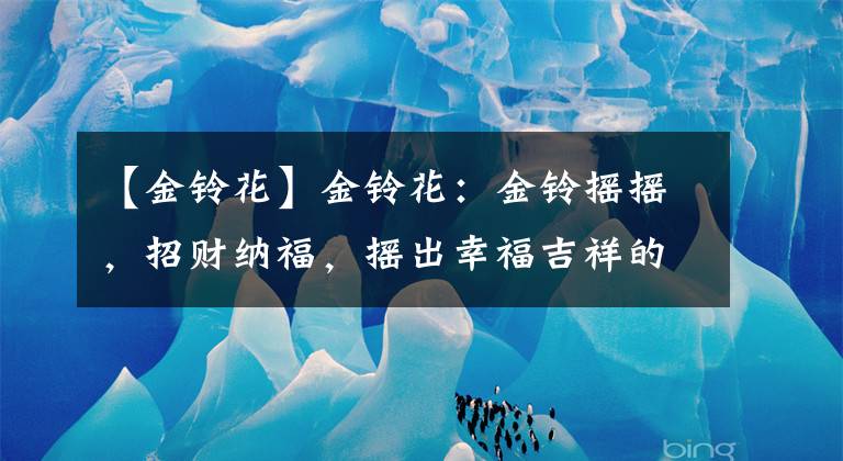 【金铃花】金铃花:金铃摇摇,招财纳福,摇出幸福吉祥的好彩头!
