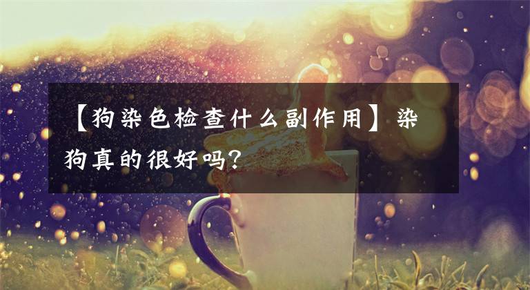 【狗染色检查什么副作用】染狗真的很好吗？