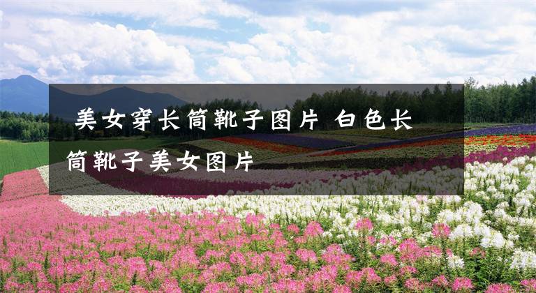 美女穿长筒靴子图片 白色长筒靴子美女图片