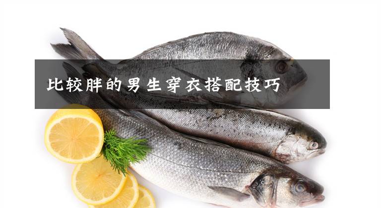 比较胖的男生穿衣搭配技巧