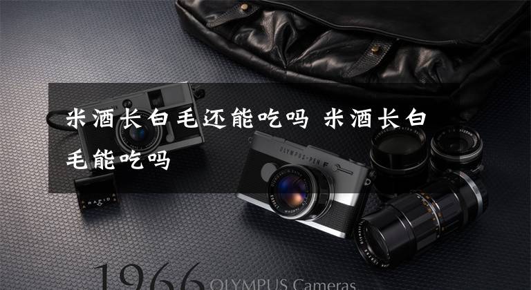 米酒长白毛还能吃吗 米酒长白毛能吃吗