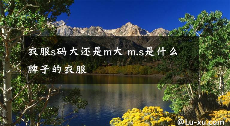 衣服s码大还是m大 m.s是什么牌子的衣服