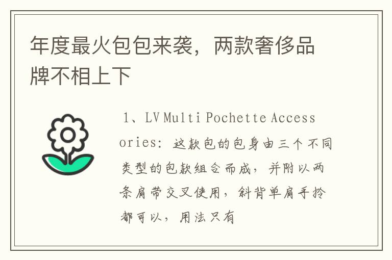 年度最火包包来袭,两款奢侈品牌不相上下