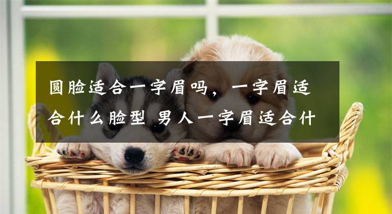 圆脸适合一字眉吗,一字眉适合什么脸型 男人一字眉适合什么脸型