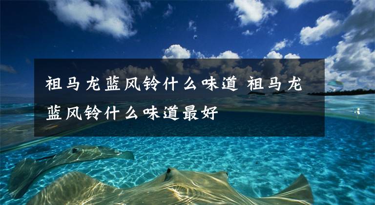 祖马龙蓝风铃什么味道 祖马龙蓝风铃什么味道最好