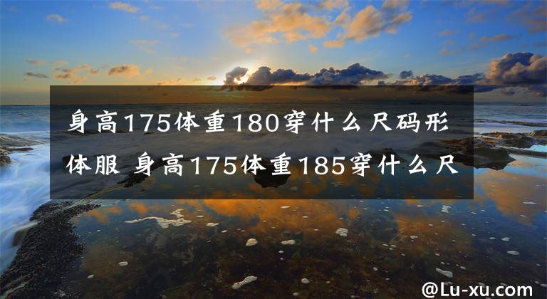 身高175体重180穿什么尺码形体服 身高175体重185穿什么尺码上衣